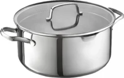 Masterchef - RVS Braadpan Met Glazen Deksel - 20 Cm