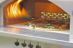 Bighorn Outdoor Edelstaal Gas Pizza Oven - Draagbare Gas Barbecue - Edelstaal -Model SRGG20001 -Home Keuken Winkel 1200x799 87