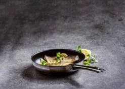 BK Allround Koekenpan Ø 24 Cm - Inductie - PFAS-vrij -Home Keuken Winkel 1200x851